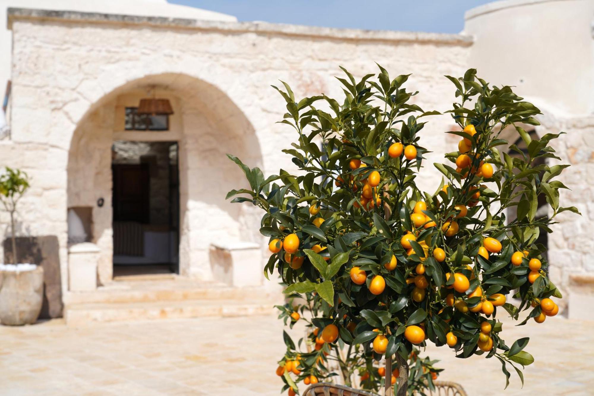 Ombre Pugliesi Bed and Breakfast Ostuni Εξωτερικό φωτογραφία
