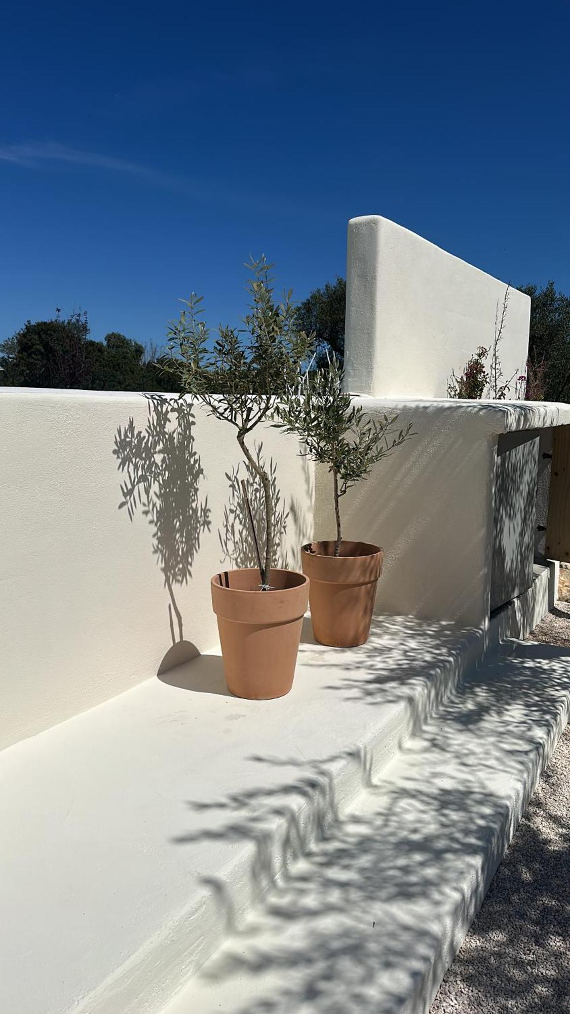 Ombre Pugliesi Bed and Breakfast Ostuni Εξωτερικό φωτογραφία
